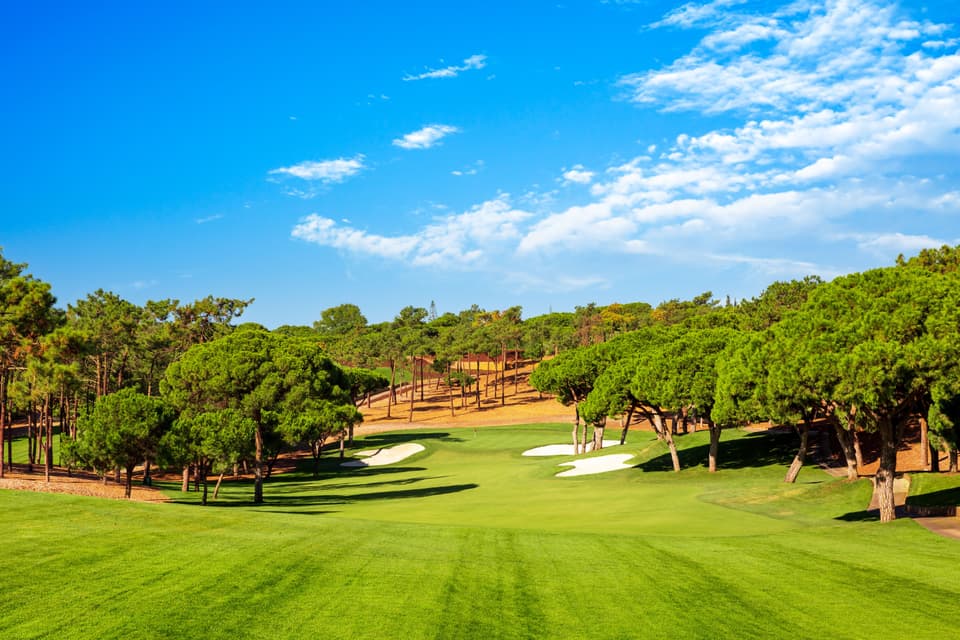 Pine-lined fairway on Quinta do Lago South