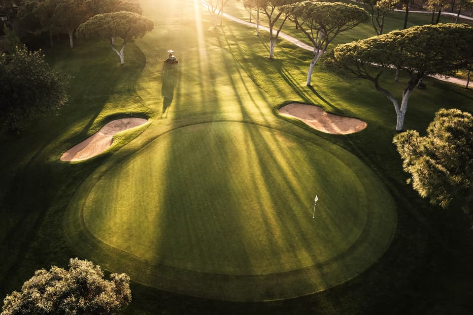 Morning light through the pines on the Old Course Vilamoura